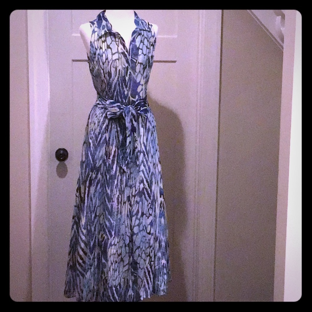 Newport News maxi dress: Blue/white print
